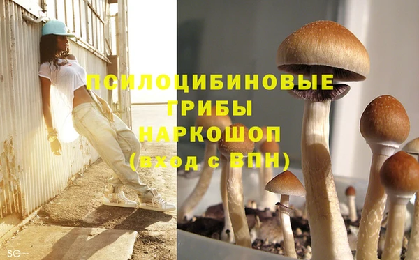 кристаллы Горняк